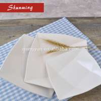 Square melamine plate